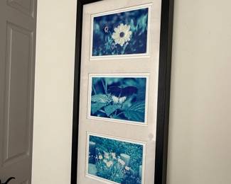 Triptych Botanical Photography Print
