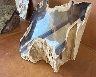 Petrified Wood Specimen