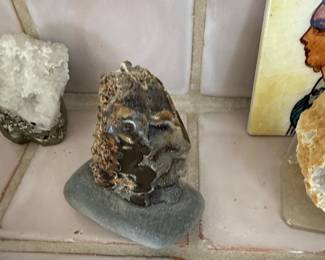Fossilized Coral Specimen on Pebble Base