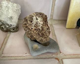 Fossilized Coral Specimen on Pebble Base