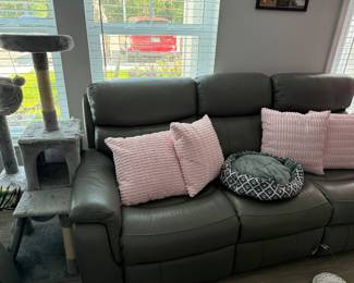 Pink throw pillows and various cat items to include a bed and a cat post
