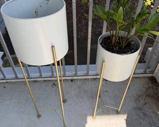 Planters with plant