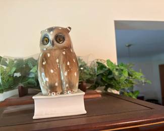 . . . owl