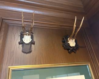 . . . a couple more trophies