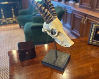 . . . antelope mount