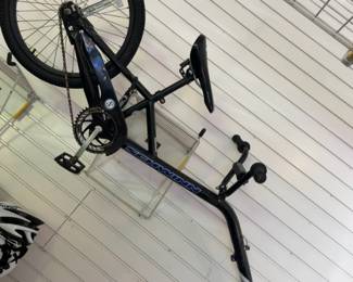 Schwinn Fatsback Tagalong 