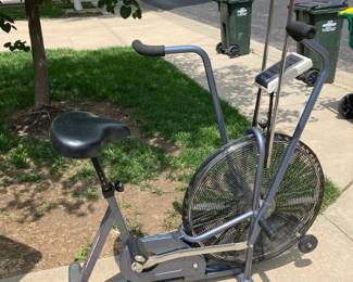 Schwinn airdyne