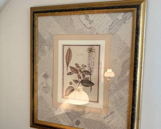 more pretty framed botanicals