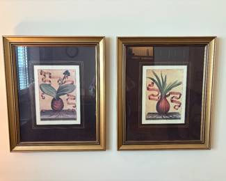 attractive framed botanical prints