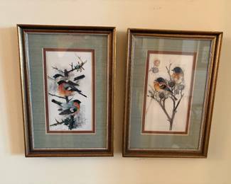 little bird pictures