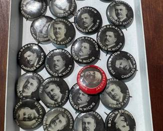 Lot of Political Pins