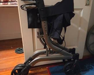 Carex Cross Tour w/ seat walker