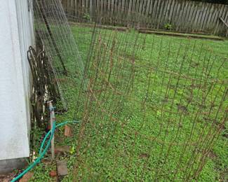 Tomato Cages