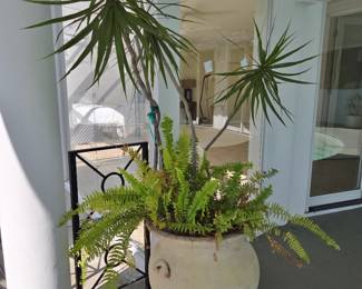 Terracotta  Planter