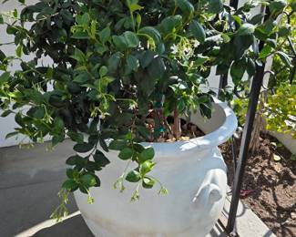Two White Planters w/ Handles