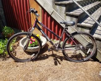 NISHIKI bike