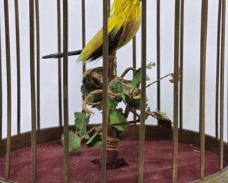 1 Birdcage. Automated Mechanical Bird, tweets and moves