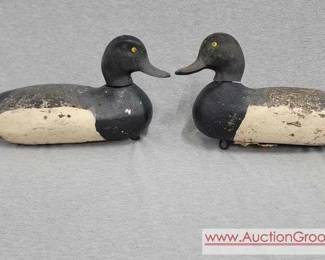 1 Mason Bluebill Decoys