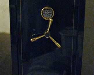 Executive Vault Gun Safe