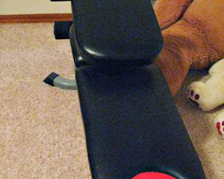 The Bow flex Blaze Home Gym - Complete with Extras