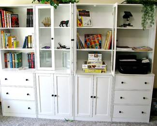 Bookshelf Shorage with Glass Doors