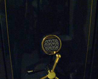 Executive Vault Gun Safe
