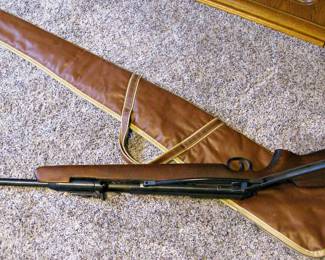 Multi-Pump air Rifle that Shoots BBs and Pellets 1980's