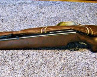  Multi-Pump air Rifle that Shoots BBs and Pellets 1980's