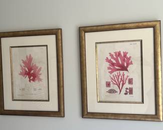 21. Set of 4 Framed Coral Prints