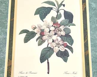 1. Gold Framed "Fleur De Pommier" Botanical Print