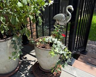 Plant