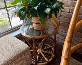 Rattan Table and Plant