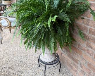 Plant and stand