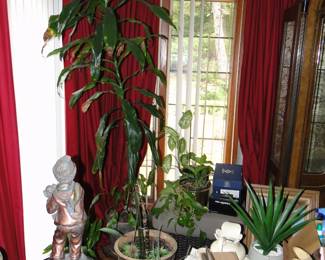 Plants
