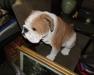 Bull dog