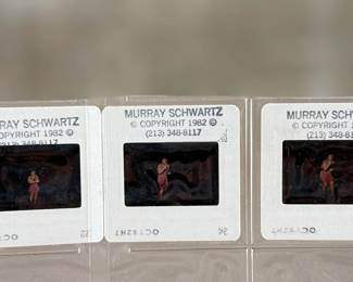 Vintage 35mm slides primarily organized in a transparent holder. Each slide features labels with the name “Richard Creamer” and addresses in Beverly Hills and Los Angeles, CA. Subjects documented include notable music acts that are believed to be Steve Winwood, Donna Summer, and others.