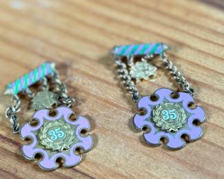 This lot features a pair of Odd Fellows enamel medals or brooches from Oregon in very good condition.