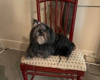 Chair 60 % off only, Elizabeth Not For Sale 