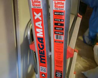 Little Giant Megamax Ladder