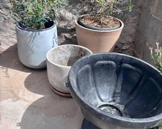 outdoor garden plants and pots