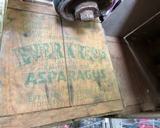 Asparagus Carrying boxes
