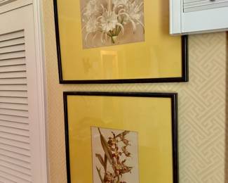 Vintage botanical art prints of orchids