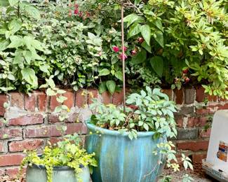 Outdoor Ceramic Planters