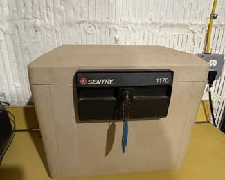 Sentry safe