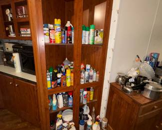 Chemicals & Cleaners 