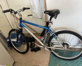 Schwinn Bike