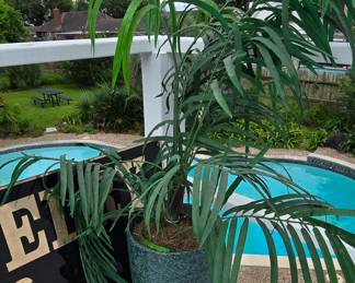 Artificial Plant 