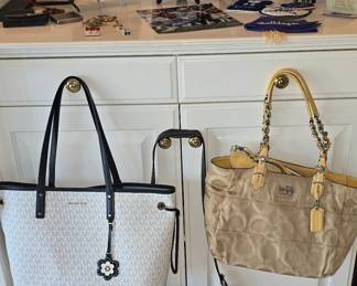 Couch and Michael Kors Bags