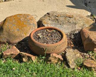Rocks - Plants
