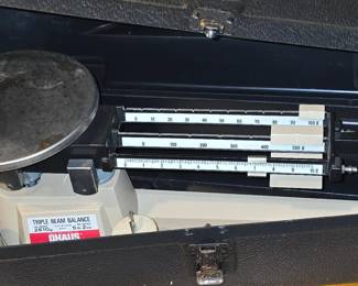 Scale in Case